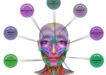 Understanding the Risks: The Danger Zones of Botox Injections Understanding the Risks: The Danger Zones of Botox Injections