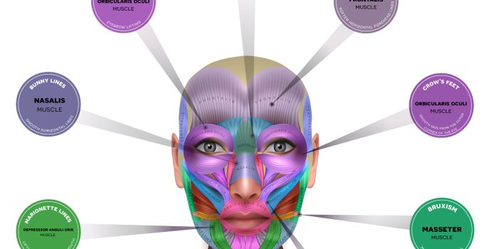 Understanding the Risks: The Danger Zones of Botox Injections